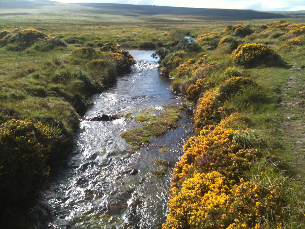 Dartmoor River photo